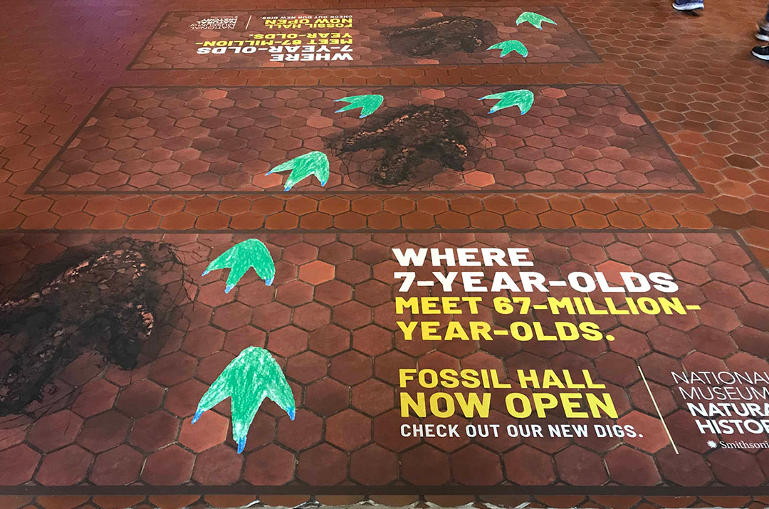 Smithsonian Subway Floor Decal
